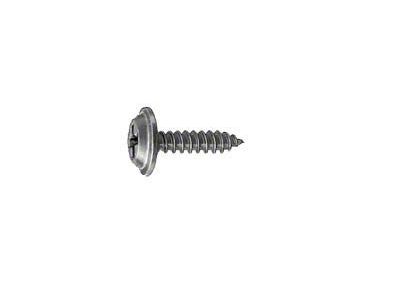 1955-1979 Ford Thunderbird Trunk Mat Screw