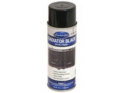 1955-1993 Ford Thunderbird Eastwood Satin Black Radiator Spray Paint, 12 oz. Aerosol