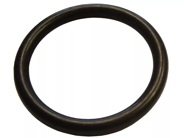 Fuel Tank Filler Tube O-Ring (61-66 Thunderbird)