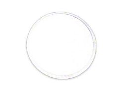 Courtesy Lamp Lens (For the 2-Door Hard Top coupe body style 63A only)