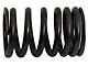 1962 Ford Fairlane And Torino Intake Or Exhaust Valve Spring, 6-Cylinder