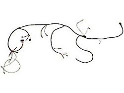 Engine Wiring Harness,No Air Conditioning, 1964-1965 