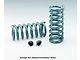 1964-1972 Chevelle Hotchkis Performance Springs, Front Big Block With Aluminum Heads
