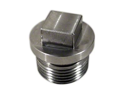 CA Rear End Drain Plug, SS, 65-79