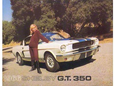 1966 Shelby Sales Brochure