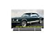 1967 Mustang GT Lower Stripe Kit