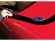 1968-1975 Corvette Black Hardtop Black Deck Lid Protector