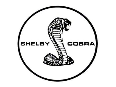 1969-1970 Mustang Shelby Shock Absorber Decal