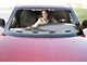 1969-1970 Mustang Vacuum Molded ABS Plastic Dash Cover