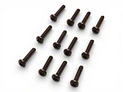 1970-1973 Corvette Taillight Lens Screws 