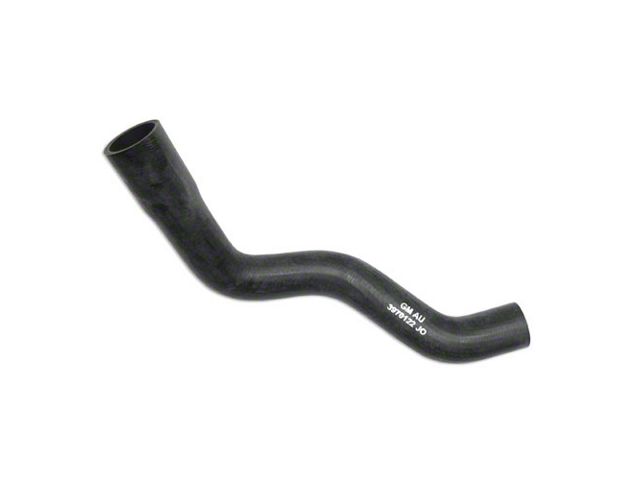 Radiator Hose,Lower,Small Block,70-81