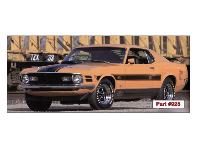 1970 Mach 1 Mustang Twister Special Stripe Kit