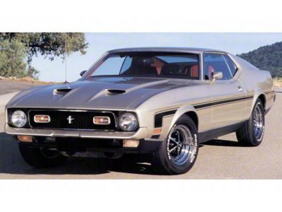 1971-1973 Mustang Mach I or Boss Mustang Side Stripe Kit