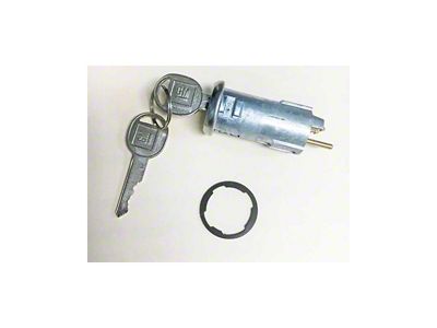 Blazer Tailgate Power Lock Cylinder, 73-91