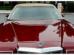 1977-79 Thunderbird Windshield