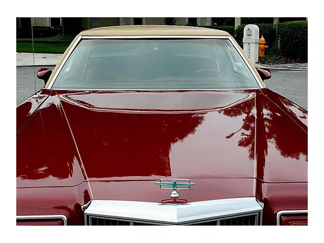 1977-79 Thunderbird Windshield