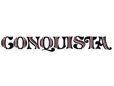 1978-1981 El Camino Conquista Tailgate Decal, Black & Flame
