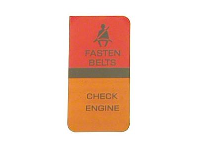 Center Instrument Cluster Seat Belt&Check Engine,80-82