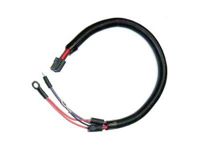 Engine/Starter Extension Wiring Harness, L48, 1980 (Sports Coupe)