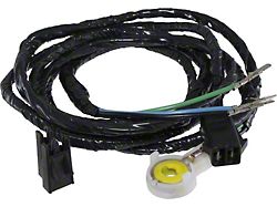 Door Lock Anti-Theft Switch, Right (81-82 Corvette C3)