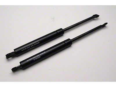 Hood Lift Support,Import,82-92