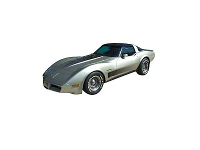 The Silver Anniversary Corvette Was So Much More Than Just A Fancy Badge