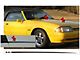 1987-1993 Mustang Hood Cowl Stripe Kit with 5.0L Designation