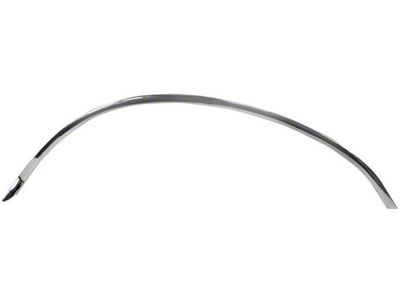 1987-1996 Ford F100 Front Wheel Opening Molding, Left Side