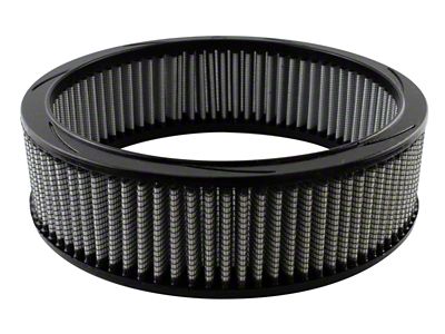 AFE Magnum FLOW Pro DRY S Replacement Air Filter (1981 4.3L Firebird)