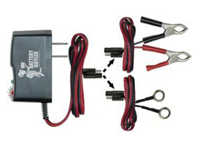 Battery Storage Float Charger, 12 Volt, Automatic