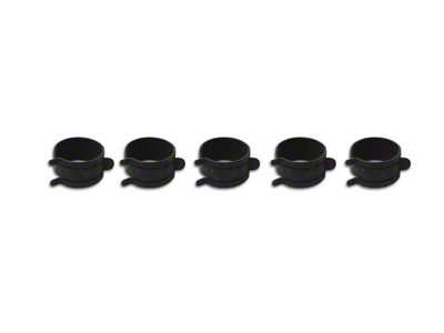 Coolant Tank Hose Clamps (74-82 Corvette C3)