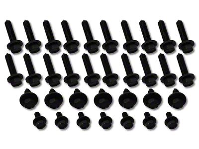 1963-1967 Corvette Door Hinge Screw Set. 32 Piece