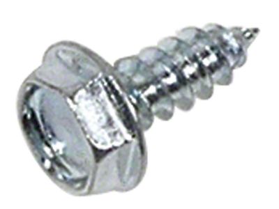 Heater Water Control Valve Bracket Screw (63-67 Corvette C2)
