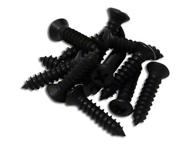 1978-1982 Corvette Rear Package Shelf Screws. 12 Piece