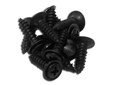 1978-1982 Corvette Rear Window Screws. 12 Piece