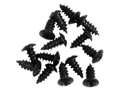 1963 Corvette Weatherstrip Screw Set. Above Door On Body