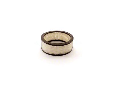 Air Filter (1980 3.8L, 4.4L Camaro)