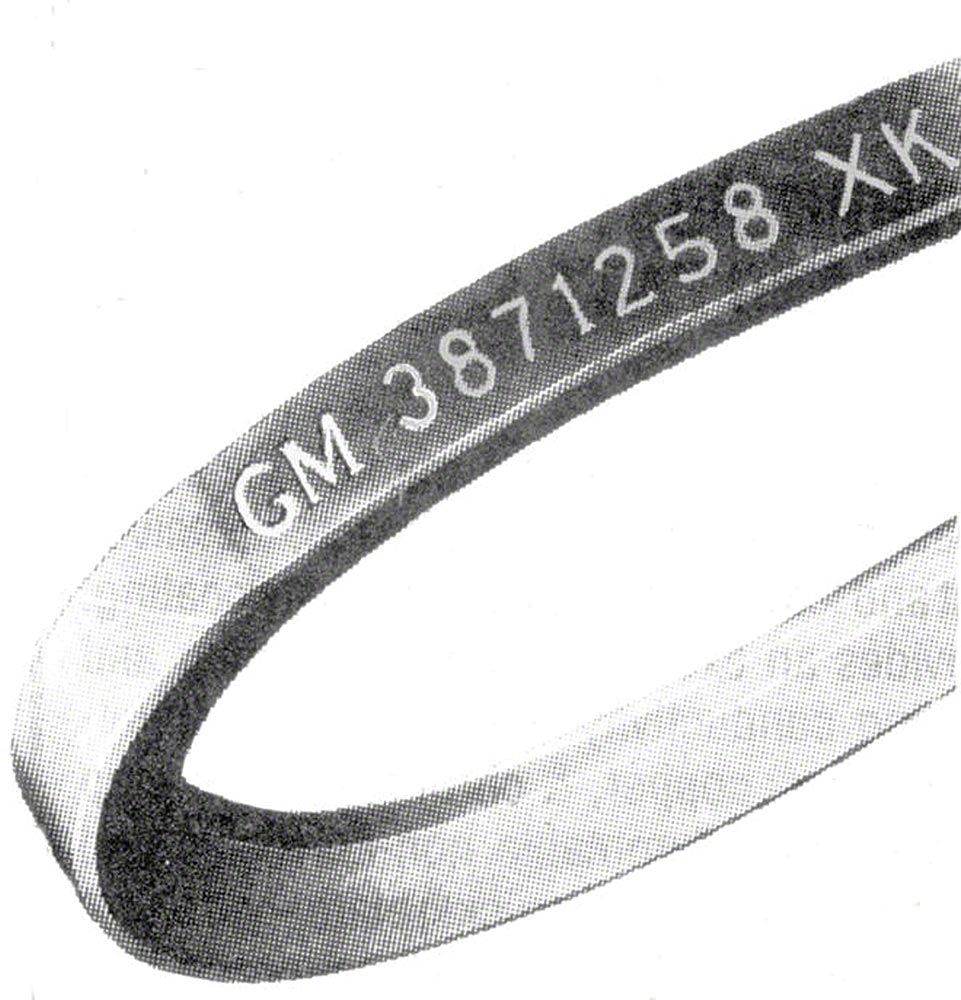 61sNZJ1gIlL._UF350,350_QL50_.jpg