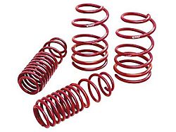 Coil Springs, V8, Sportline, Eibach (82-92 Camaro)