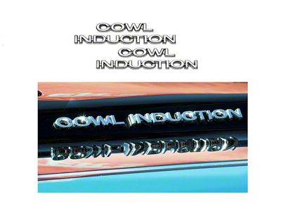 Cowl Induction Words Hood Emblem Set,1969