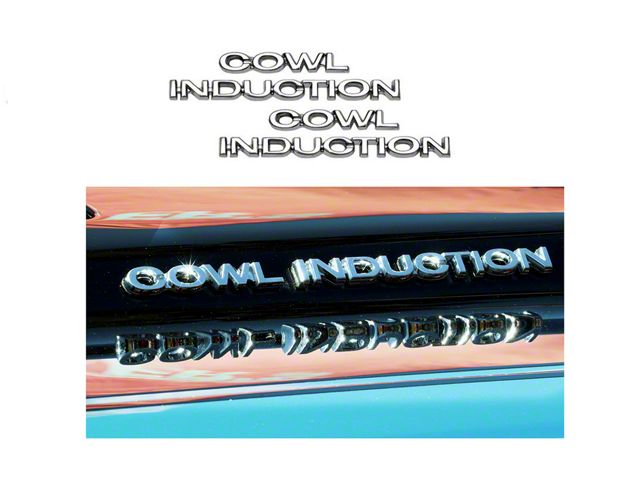 Cowl Induction Words Hood Emblem Set,1969