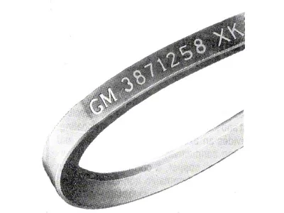 Camaro Power Steering Belt, 302ci, Z28, 1969 (Z/28 Coupe)