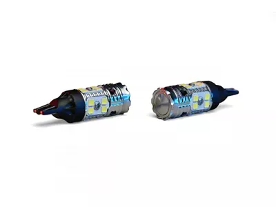 Revive LED Bulbs; White; 921