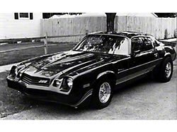Camaro Strip Kit, Z28, Silver Charcoal, 1980-1981 (Z/28 Coupe)