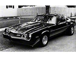 Camaro Strip Kit, Z28, Silver Charcoal, 1980-1981 (Z28 Coupe)