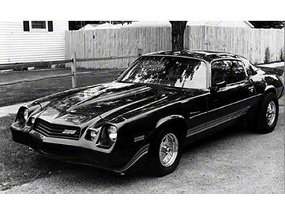 Camaro Strip Kit, Z28, Silver Charcoal, 1980-1981 (Z/28 Coupe)