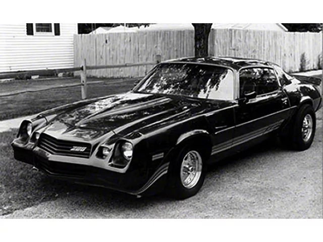 Camaro Strip Kit, Z28, Silver Charcoal, 1980-1981 (Z28 Coupe)