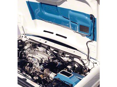 Cervini's Ram Air Kit (93-95 F-150 Lighting w/o Mass Air Meter)