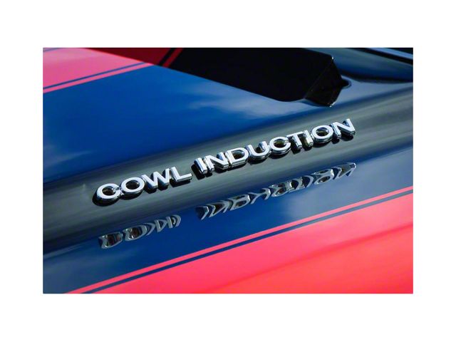 Chevy Or GMC Truck Cowl Induction Hood Emblems