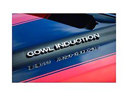 Chevy Or GMC Truck Cowl Induction Hood Emblems